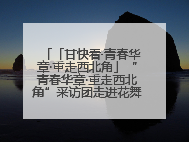 「甘快看·青春华章·重走西北角」“青春华章·重走西北角”采访团走进花舞南山 探寻天水乡村振兴之路