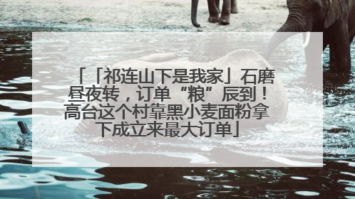 「祁连山下是我家」石磨昼夜转，订单“粮”辰到！高台这个村靠黑小麦面粉拿下成立来最大订单