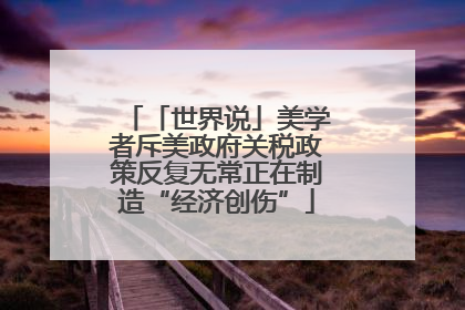 「世界说」美学者斥美政府关税政策反复无常正在制造“经济创伤”