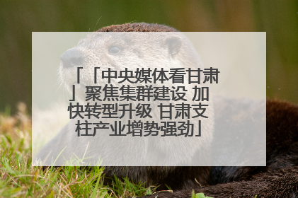 「中央媒体看甘肃」聚焦集群建设 加快转型升级 甘肃支柱产业增势强劲