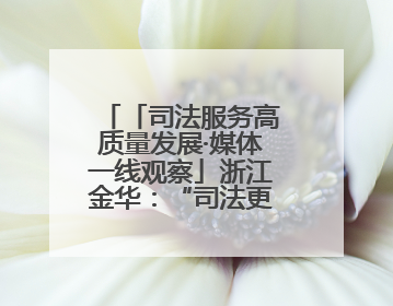 「司法服务高质量发展·媒体一线观察」浙江金华：“司法更有为”让“市场更有力”