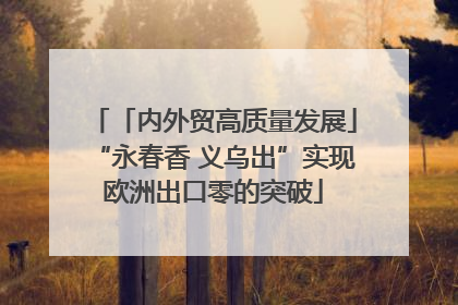「内外贸高质量发展」“永春香 义乌出”实现欧洲出口零的突破