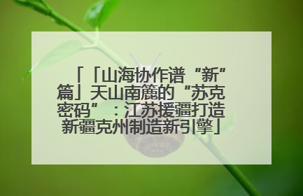 「山海协作谱“新”篇」天山南簏的“苏克密码”：江苏援疆打造新疆克州制造新引擎