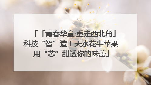 「青春华章·重走西北角」科技“智”造！天水花牛苹果用“芯”甜透你的味蕾