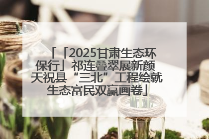 「2025甘肃生态环保行」祁连叠翠展新颜 天祝县“三北”工程绘就生态富民双赢画卷