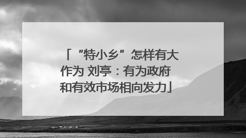 “特小乡”怎样有大作为 刘亭：有为政府和有效市场相向发力