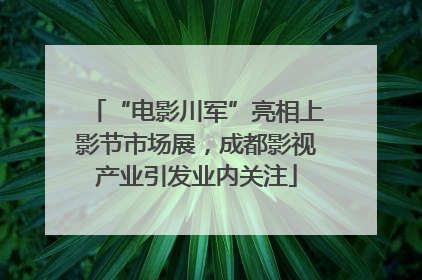 “电影川军”亮相上影节市场展，成都影视产业引发业内关注