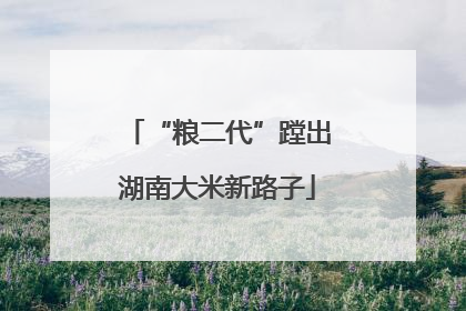 “粮二代”蹚出湖南大米新路子