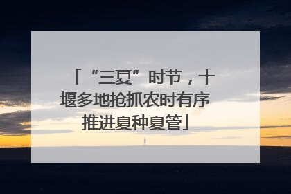 “三夏”时节，十堰多地抢抓农时有序推进夏种夏管
