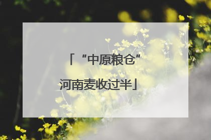 “中原粮仓”河南麦收过半