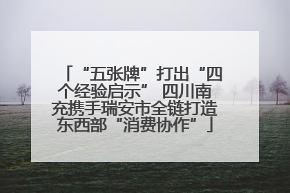 “五张牌”打出“四个经验启示” 四川南充携手瑞安市全链打造东西部“消费协作”