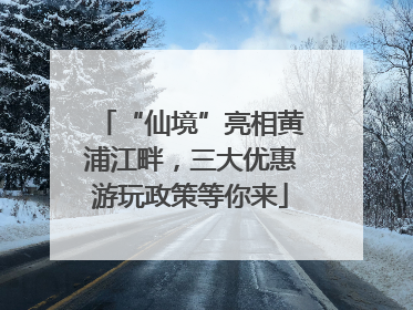 “仙境”亮相黄浦江畔，三大优惠游玩政策等你来