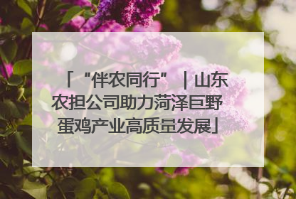 “伴农同行”｜山东农担公司助力菏泽巨野蛋鸡产业高质量发展