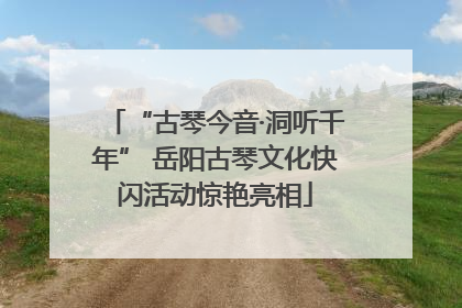 “古琴今音·洞听千年” 岳阳古琴文化快闪活动惊艳亮相