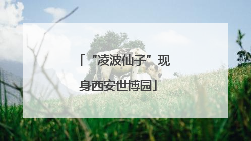 “凌波仙子”现身西安世博园