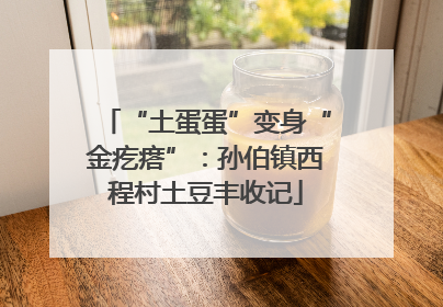 “土蛋蛋”变身“金疙瘩”：孙伯镇西程村土豆丰收记