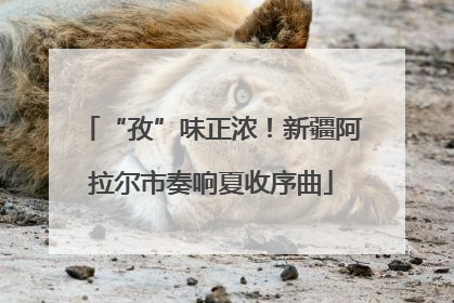 “孜”味正浓！新疆阿拉尔市奏响夏收序曲
