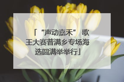 “声动嘉禾” 歌王大赛普满乡专场海选圆满举举行