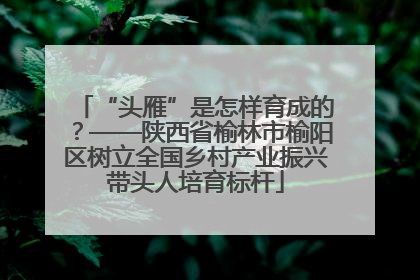 “头雁”是怎样育成的？——陕西省榆林市榆阳区树立全国乡村产业振兴带头人培育标杆