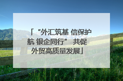 “外汇筑基 信保护航 银企同行” 共促外贸高质量发展
