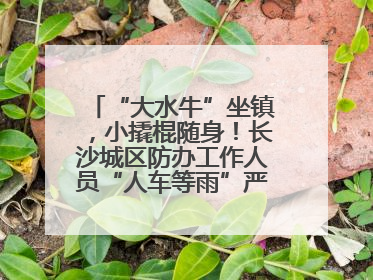 “大水牛”坐镇，小撬棍随身！长沙城区防办工作人员“人车等雨”严阵以待
