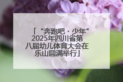 “奔跑吧・少年”2025年四川省第八届幼儿体育大会在乐山圆满举行