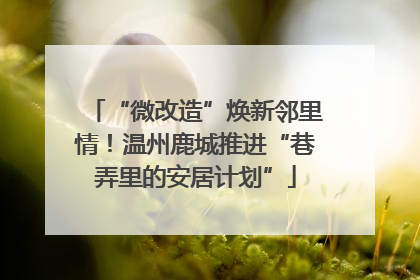 “微改造”焕新邻里情！温州鹿城推进“巷弄里的安居计划”