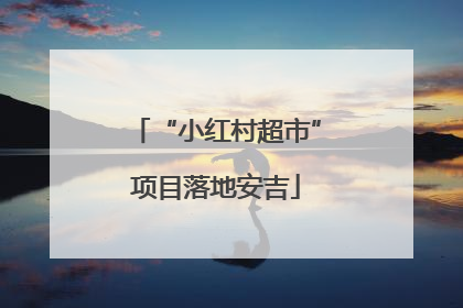 “小红村超市”项目落地安吉