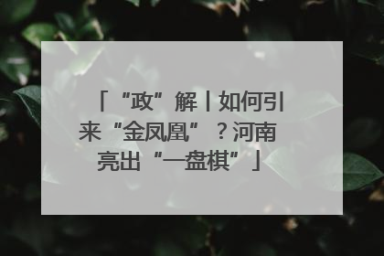 “政”解丨如何引来“金凤凰”？河南亮出“一盘棋”