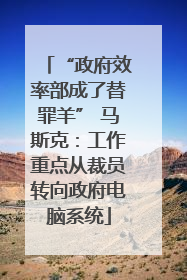 “政府效率部成了替罪羊” 马斯克：工作重点从裁员转向政府电脑系统