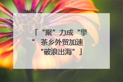 “聚”力成“擎” 茶乡外贸加速“破浪出海”