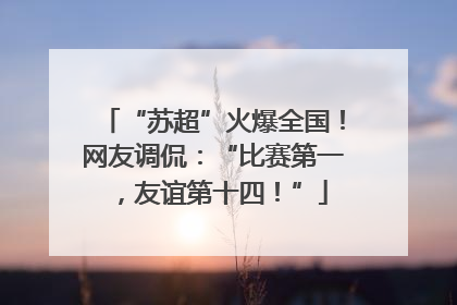 “苏超”火爆全国！网友调侃：“比赛第一，友谊第十四！”
