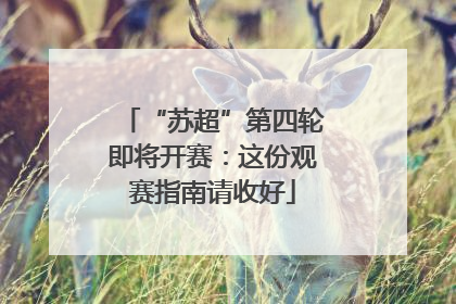 “苏超”第四轮即将开赛：这份观赛指南请收好