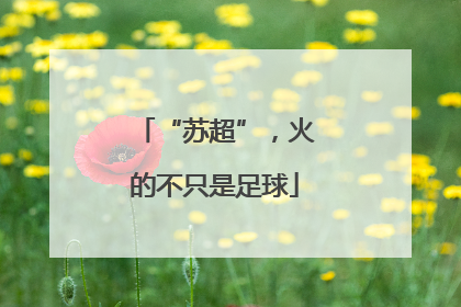 “苏超”，火的不只是足球