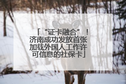 “证卡融合”！济南成功发放首张加载外国人工作许可信息的社保卡