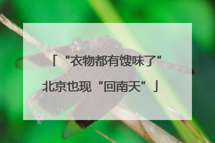 “衣物都有馊味了”北京也现“回南天”