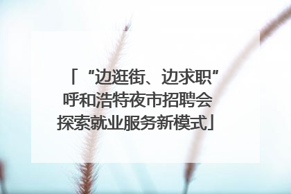 “边逛街、边求职” 呼和浩特夜市招聘会探索就业服务新模式