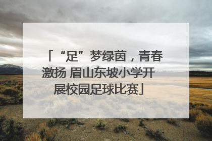 “足”梦绿茵，青春激扬 眉山东坡小学开展校园足球比赛