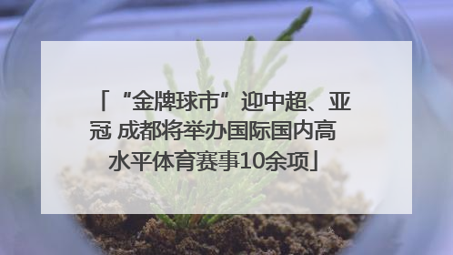 “金牌球市”迎中超、亚冠 成都将举办国际国内高水平体育赛事10余项