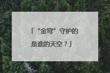 “金穹”守护的是谁的天空？