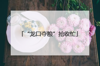 “龙口夺粮”抢收忙