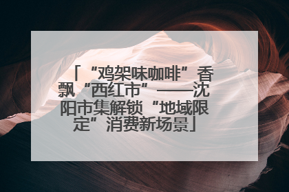 “鸡架味咖啡”香飘“西红市”——沈阳市集解锁“地域限定”消费新场景