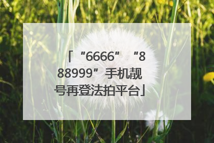 “6666”“888999”手机靓号再登法拍平台