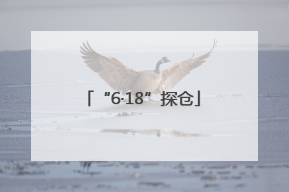 “6·18”探仓