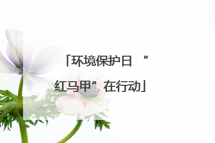 环境保护日 “红马甲”在行动