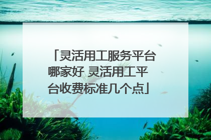 灵活用工服务平台哪家好 灵活用工平台收费标准几个点