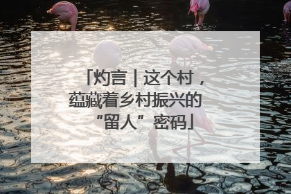灼言｜这个村，蕴藏着乡村振兴的“留人”密码