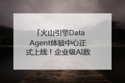 火山引擎Data Agent体验中心正式上线！企业级AI数据专家触手可及