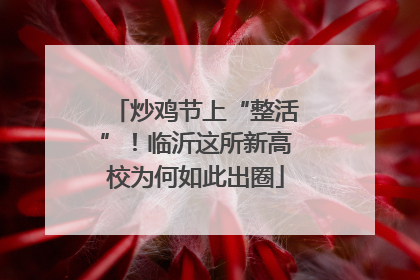 炒鸡节上“整活”！临沂这所新高校为何如此出圈
