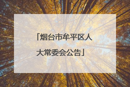 烟台市牟平区人大常委会公告